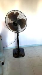 Blk 156 Bishan Street 13 (Bishan), HDB 5 Rooms #639459561